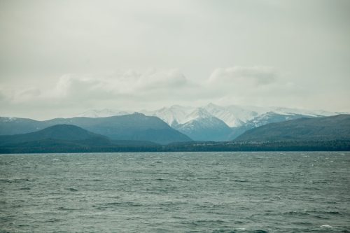 IMG 7995